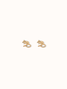 Kangaroo Rat Stud Earrings